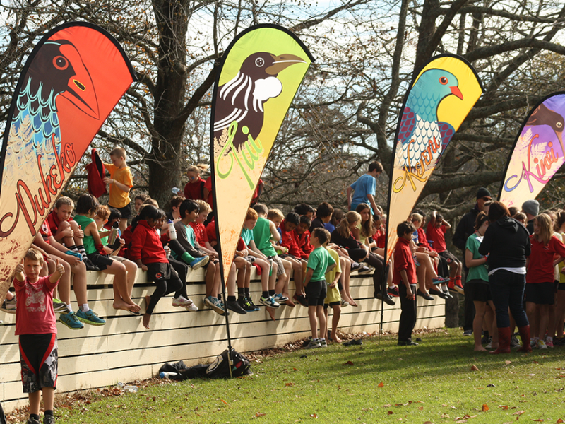 Promo Flags-brandstand.nz