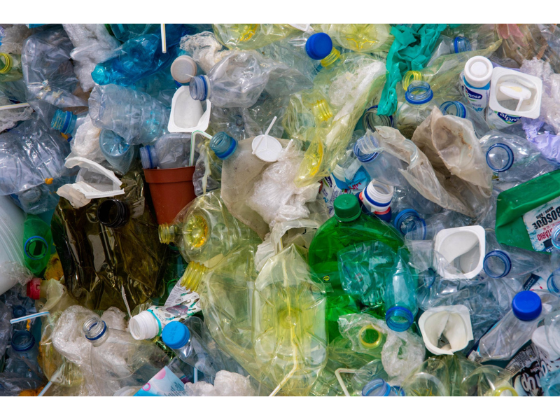 sustainability is an issue facing event orgainsers